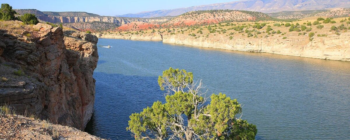 Bighorn River near Grand View Campgroound in Hardin MT