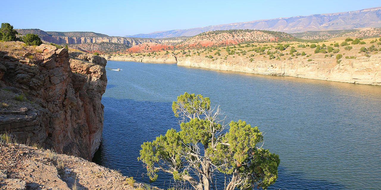 Bighorn River near Grand View Campgroound in Hardin MT