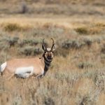 Fall is the perfect time to get those amazing photos from Grandview Campground & RV Park